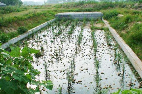 LM高效浸潤(rùn)潛流式人工濕地系統(tǒng)