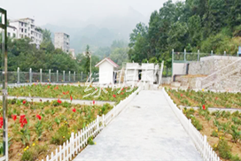 宣恩縣椒園工業(yè)園污水處理廠(chǎng)
