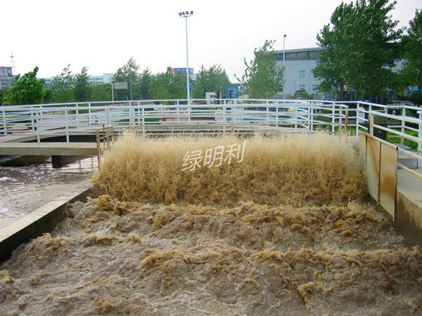 LIC高濃度有機廢水厭氧生物處理技術(shù)(圖2)