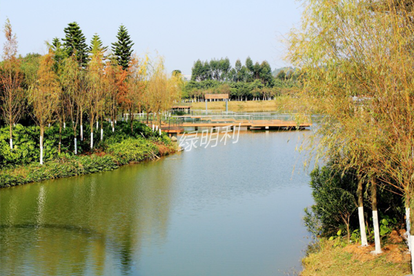 庭院式人工濕地污水處理設(shè)備(圖3)