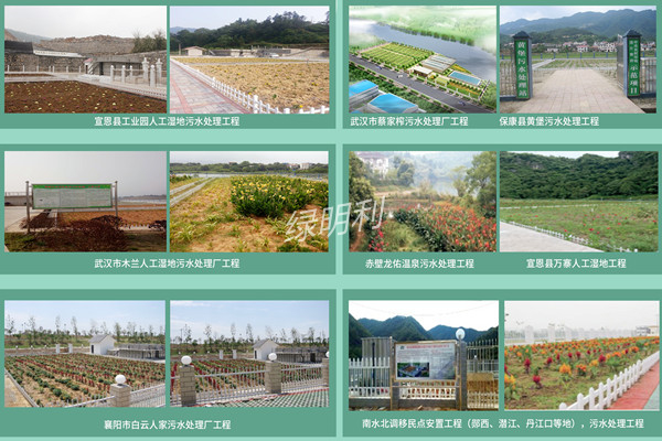 IMB浸潤式復(fù)合潛流人工濕地技術(shù)設(shè)備(圖1)